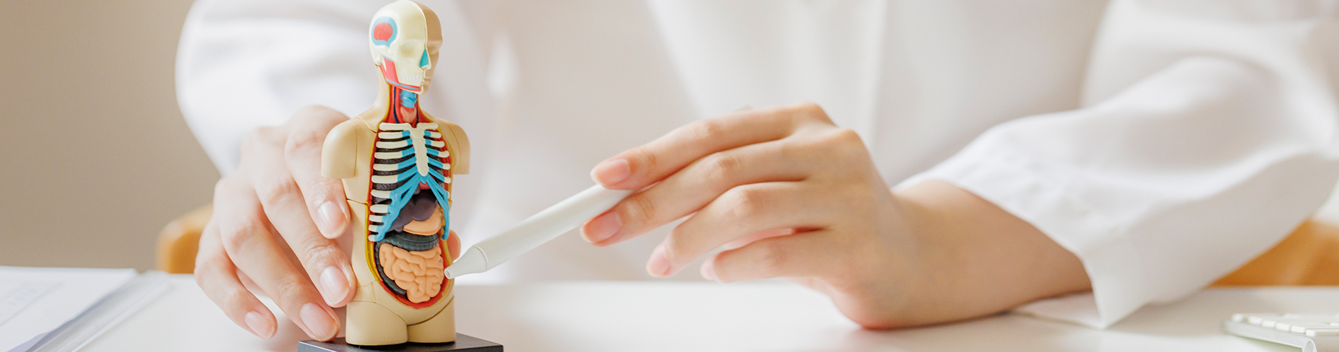 조아진병원 내과 진료 안내