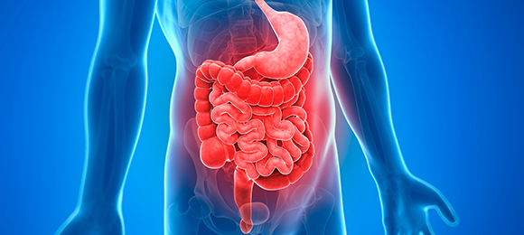 대장내시경 장비 이미지